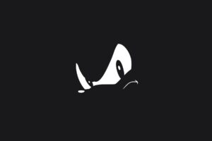 Sonic the Hedgehog, Minimalism