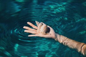 hands, Seashell, Water, Tropical, Clear water
