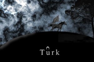 Turkish, Flag